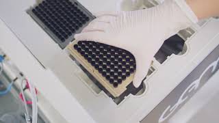 Mba Automatization - Image Video