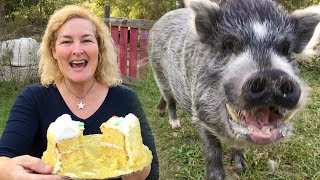 HUNGRY PIG EATS ALL THE CAKE!