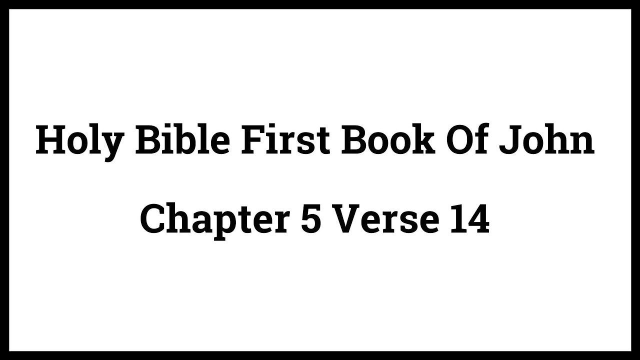 Holy Bible First Book Of John 5:14