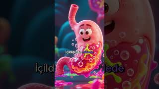 Sakın Buralarda Su İçmemeye Çalışın Ğlık Ğlıklıyaşam Ik