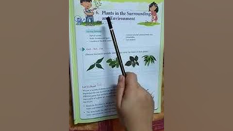 Class 4 - Science - Chapter 6 : Plants in the surroundings and environment - Part 1