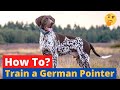 How to Train a German Shorthaired Pointer? 🤔 の動画、YouTube動画。