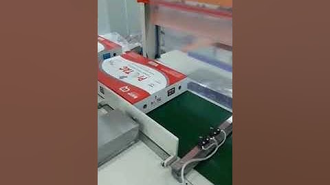 Web sealer with shrink wrapping machine