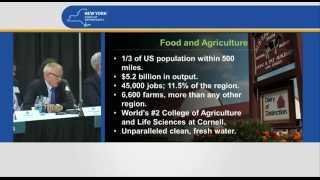 Upstate Revitalization Initiative - Southern Tier