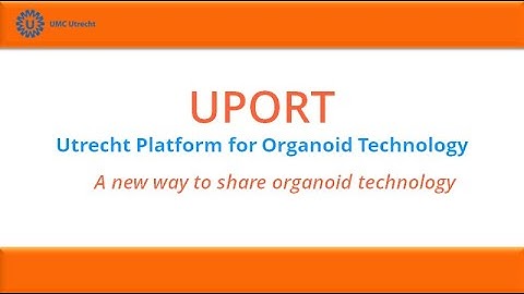 Utrecht Platform for Organoid Technology | UMC Utrecht