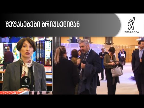 თამარ ნუცუბიძის ჩართვა ბრიუსელიდან