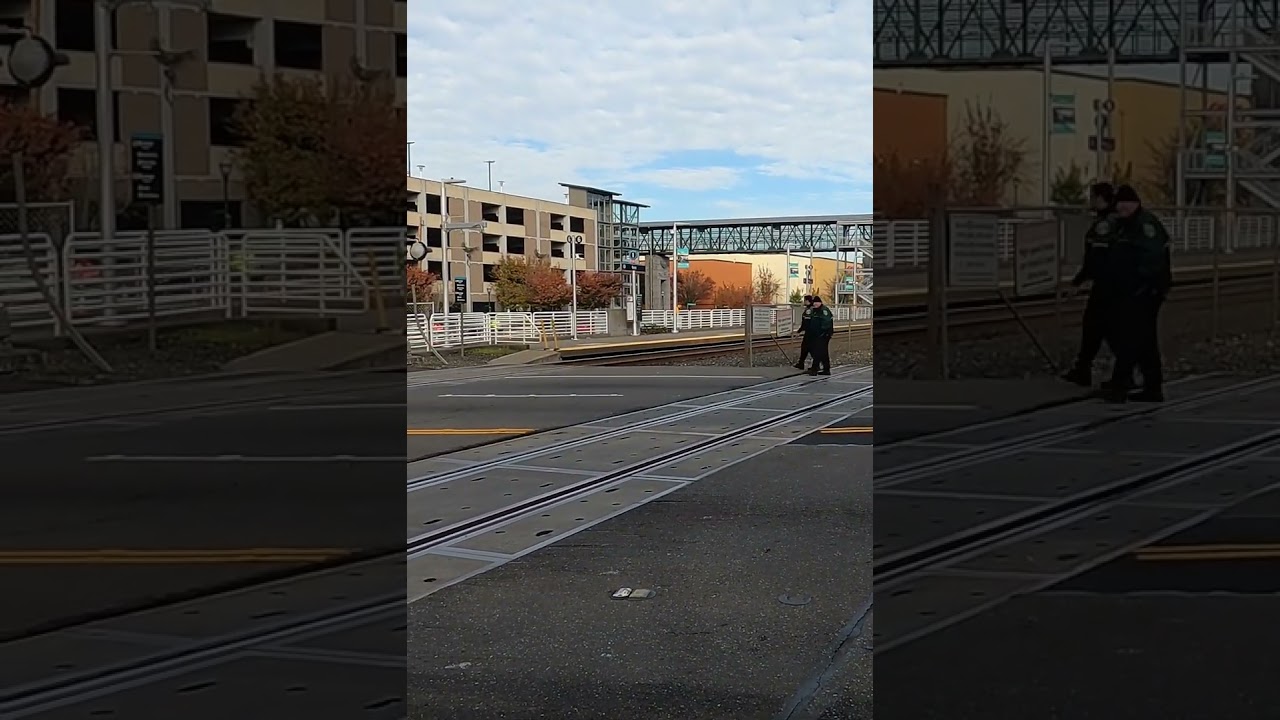 King county two transit security officers crossing by foot train track ASMR