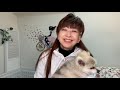 大場久美子【私のお誕生日に生配信出来たらいいな・・・】2021年1月6日で61歳になります。