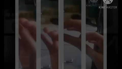 Row row row boat Yotowhooh Unfiltered 