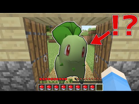 マイクラでポケモンマスターになる！？【 マイクラ / まいくら / Minecraft 】