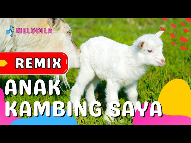 🔴 LAGU ANAK KAMBING SAYA REMIX - Lagu Anak Balita class=