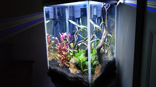 Aquarium Update!!! Top Fin Fascinate 10 gallon tank