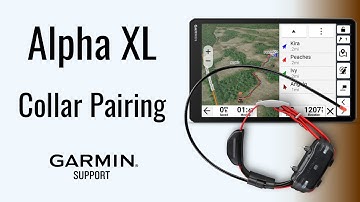 Alpha® XL | Collar Pairing | Garmin Support