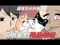 阿啾小劇場-阿啾家的階級制度｜貓咪友好的假象｜貓奴全記錄