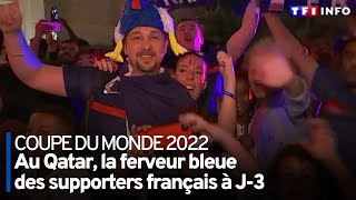 Au Qatar, la ferveur bleue des supporters français à J-3
