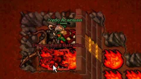 Tibia Dragon Lord Hunt