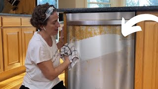 Get streak free stainless steel with these surprising tricks! | Hometalk screenshot 1