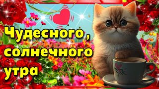 ☕Самого доброго весеннего утра!💗Благословенного дня!💗Красивая музыкальная открытка🌼💗🌼