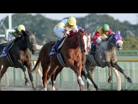 第16回 フェブラリーS(GⅠ) メイセイオペラ 57 菅原勲 1999.1.31 出走馬:エムアイブラン、タイキシャーロック、オースミ