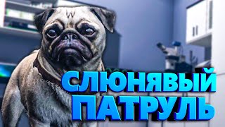 МОПС УСТРОИЛ СЛЮНЯВЫЙ ПАТРУЛЬ🐶в GTA 5