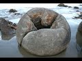 2010 43 NZ Dunedin Shag Point Moeraki Boulders