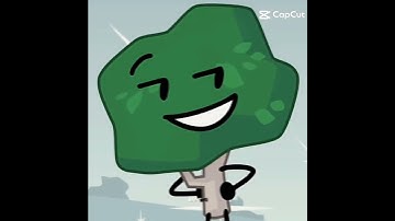 My top 4 favorite BFDI characters edit #bfb #editinglife #bfdi #myfave