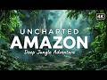 Uncharted Amazon: Amazing Amazon Ecosystem | Deep Jungle Adventure |  4k