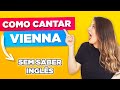 Como Cantar Vienna Billy Joel em Inglês (Letra e Tradução)