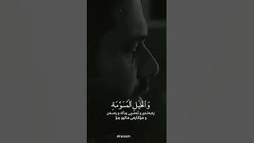 زين للناس حب الشهوات //القارئ:عبدالرحمن مسعد//ستوريات قرأن ❤️🤎🤍
