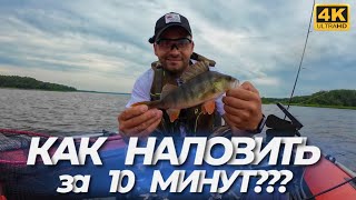 картинка: Вокруг лодки ТЫСЯЧИ ГОЛОДНЫХ РЫБ - Я В ШОКЕ. Какие  НАБЛЮДЕНИЯ я сделал?ТАКАЯ РЫБАЛКА РАЗ В 5 ЛЕТ!