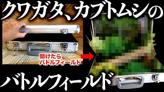 クワガタ、カブトムシのバトルフィールドを超簡単に作る！（クワガタ自己満ラボ）