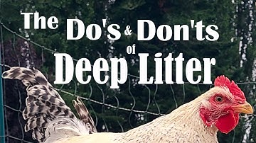 Deep Litter Method for Chicken Coop Composting | Save Time & Money!