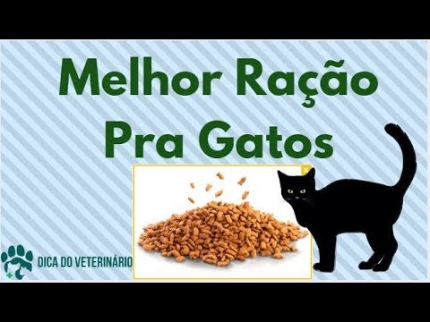 Vídeo: Como Escolher Boa Comida Seca Para Gatos