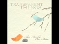 Transparent Things - All Is Delicate