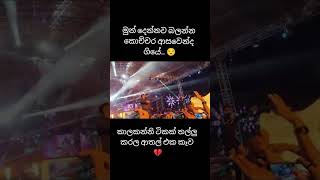 wasthi production