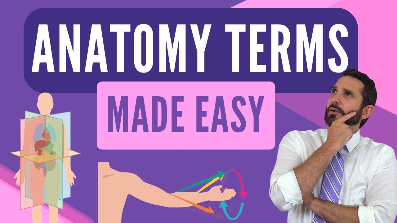 Anatomy Directional Terms, Regional Terms, Movement Terms, & Body Planes Made Easy