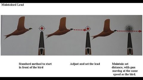 How to Shoot a Moving Target, Know the Lead
