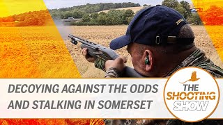 The Shooting Show - Decoying over stubbles, roe stalking in Somerset and rabbiting action