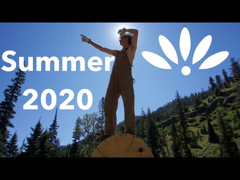 Environmental Stewardship - 2020 - Compassionate Leaders Program