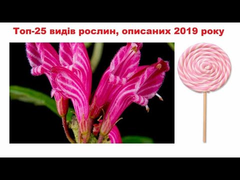 Топ-25 рослин, описаних 2019 року [Лекція]