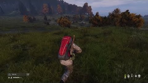 What a bot- DayZ