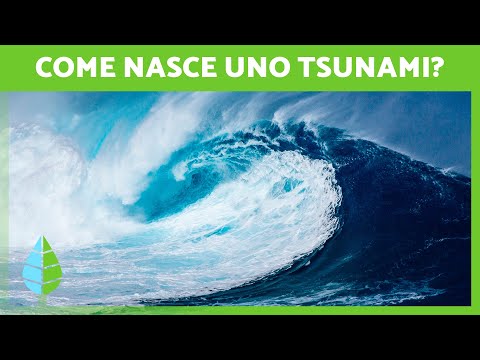 Video: Quali sono le cause di uno tsunami per i bambini?