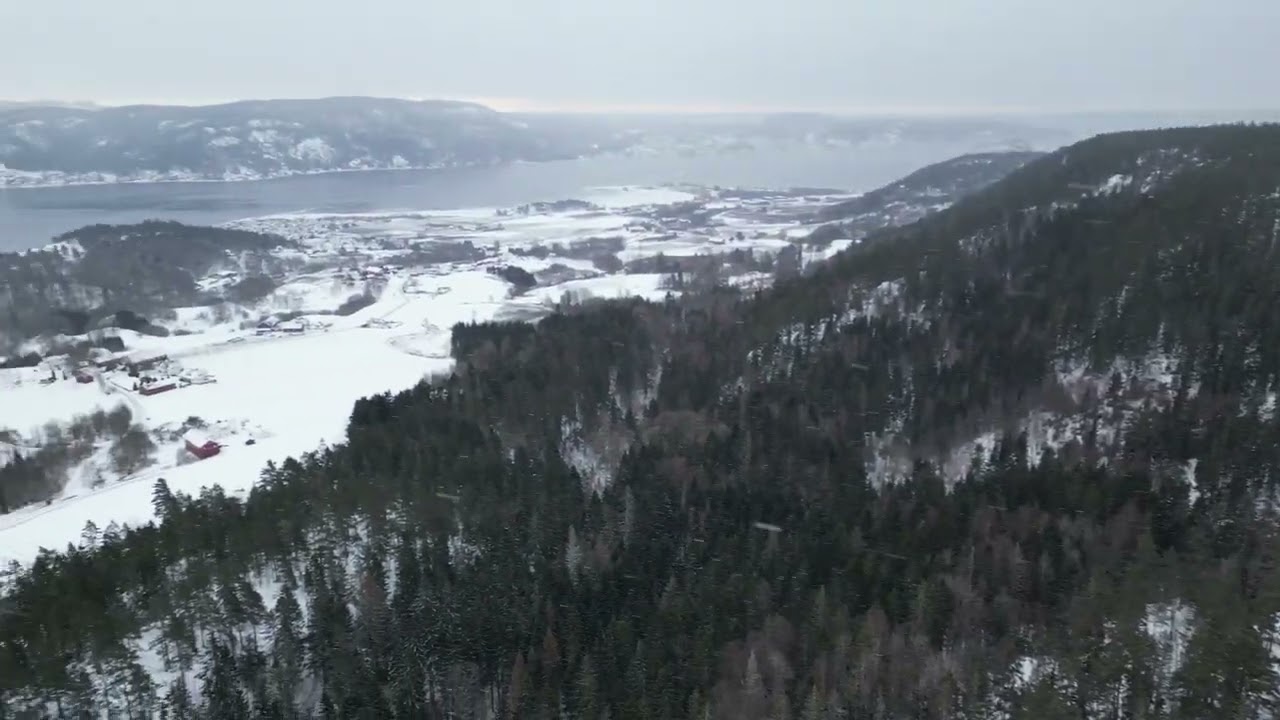 Teaser for the friday SAR Loop on SAR Games 2026