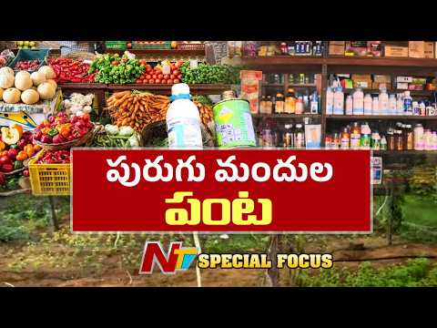 నిగనిగలాడే కూరగాయలు, పండ్లు తింటున్నారా? అయితే జాగ్రత్త.. | Pesticide Residues in Vegetables, Fruits - NTVTELUGU