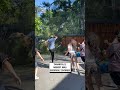 Tree falls in Japanese garden 🫣🌳                            🎥: Alberto Casteluchi Ponce via ViralHog