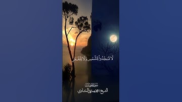 ﴿وَمِن آياتِهِ اللَّيلُ وَالنَّهارُ وَالشَّمسُ وَالقَمَرُ…﴾ [فصلت: ٣٧] القارئ/محمد صديق المنشاوي