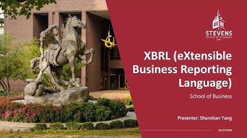 XBRL (eXensible Business Reporting Language)