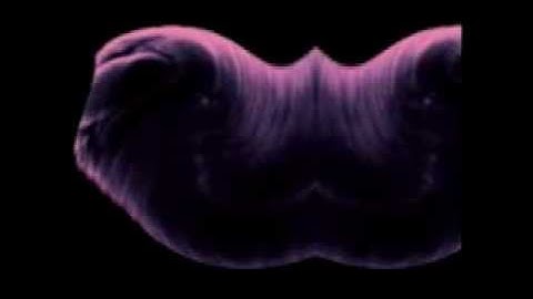 Z3ΤA+  &  Bizune vst  ...with Hand Trip Joystick / " OuterSpace Ocean Beings "