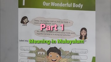 Class 2  /EVS/ chapter 1: Our wonderful body / Part 1
