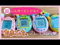 【たまごっち育成動画】エンたま、ウラたま始めたら、とんでもないレアキャラが…⁉️